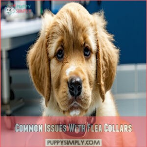 Common Issues With Flea Collars