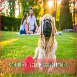 Common Muzzle Misconceptions