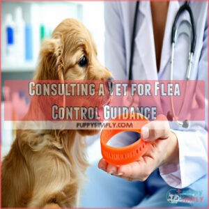 Consulting a Vet for Flea Control Guidance