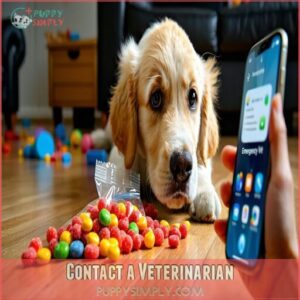 Contact a Veterinarian