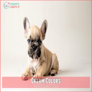 Cream Colors