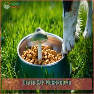 Death Cap Mushrooms