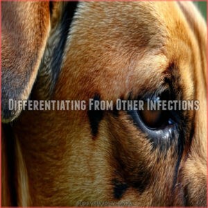 Differentiating From Other Infections