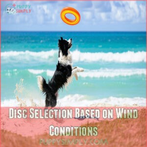 Disc Selection Based on Wind Conditions