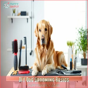 DIY Dog Grooming Basics