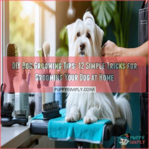 diy dog grooming tips