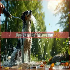 Dog Bathing Frequency