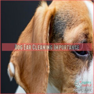 Dog Ear Cleaning Importance