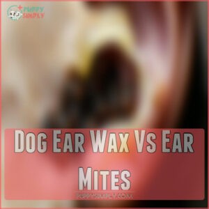 Dog Ear Wax Vs Ear Mites