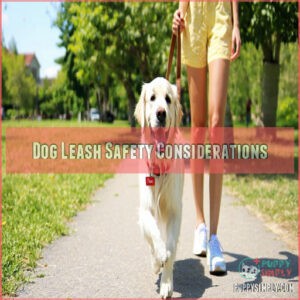 Dog Leash Safety Considerations