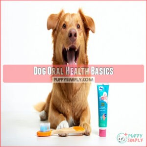 Dog Oral Health Basics