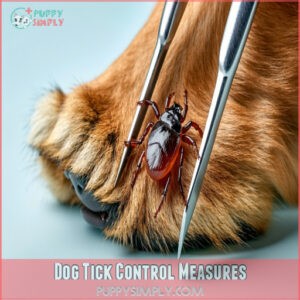 Dog Tick Control Measures