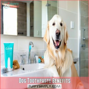 Dog Toothpaste Benefits