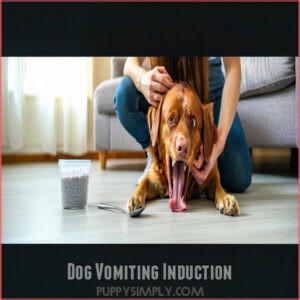 Dog Vomiting Induction