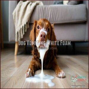 Dog Vomiting White Foam