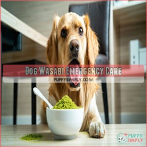 Dog Wasabi Emergency Care