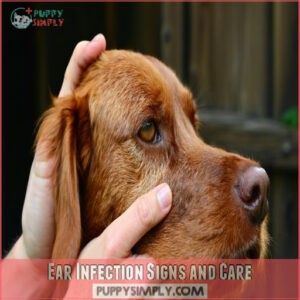 Ear Infection Signs and Care