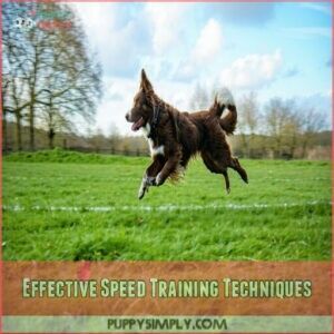 Effective Speed Training Techniques