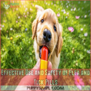 Effective Use and Safety of Flea and Tick Pills