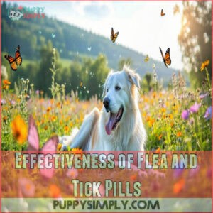 Effectiveness of Flea and Tick Pills