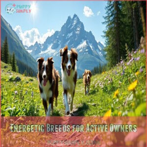 Energetic Breeds for Active Owners