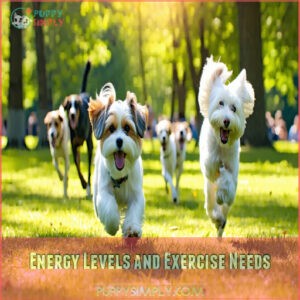 Energy Levels and Exercise Needs