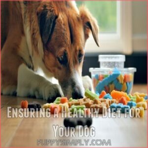 Ensuring a Healthy Diet for Your Dog