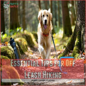 Essential Tips for Off Leash Hiking