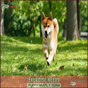 Exercise Needs