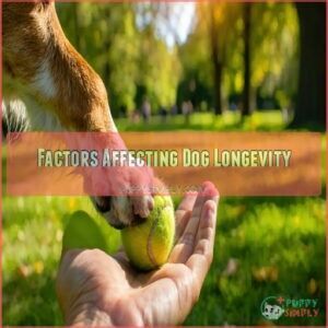 Factors Affecting Dog Longevity