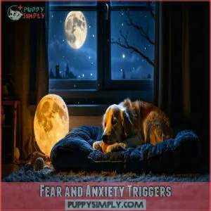 Fear and Anxiety Triggers