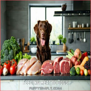 Feeding Meat to Dogs