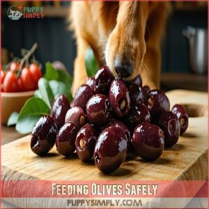 Feeding Olives Safely