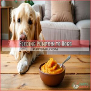 Feeding Pumpkin to Dogs