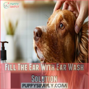 Fill The Ear With Ear Wash Solution