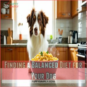 Finding a Balanced Diet for Your Dog