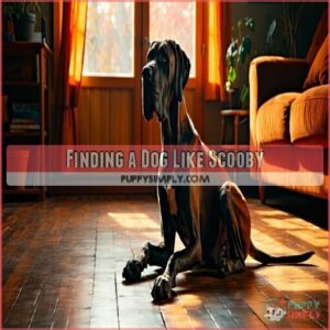 Finding a Dog Like Scooby