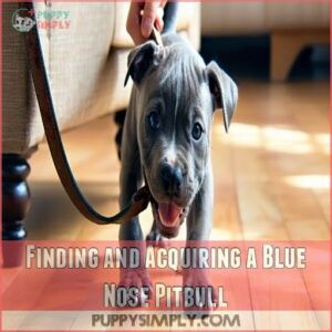 Finding and Acquiring a Blue Nose Pitbull