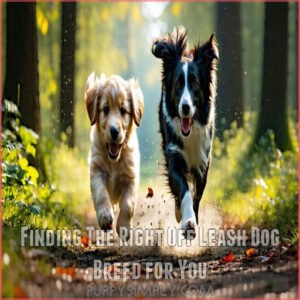 Finding The Right Off Leash Dog Breed for You