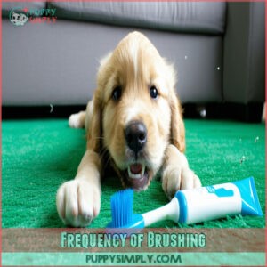 Frequency of Brushing