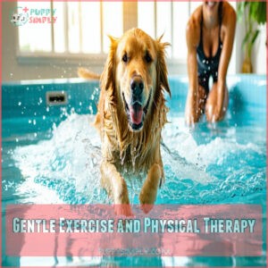 Gentle Exercise and Physical Therapy