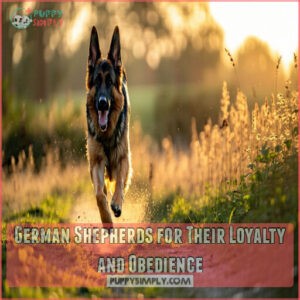 German Shepherds for Their Loyalty and Obedience