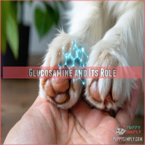 Glucosamine and Its Role