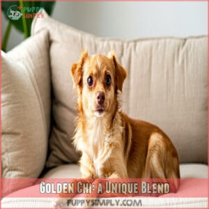 Golden Chi: a Unique Blend