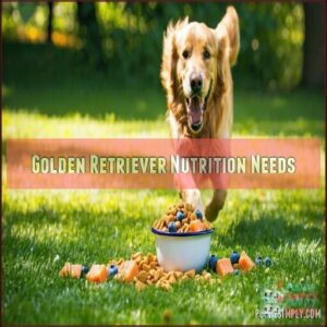 Golden Retriever Nutrition Needs