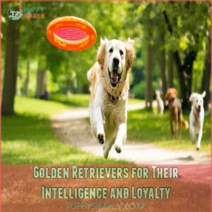 Golden Retrievers for Their Intelligence and Loyalty