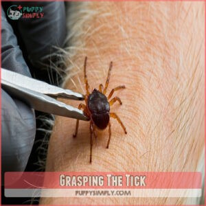 Grasping The Tick