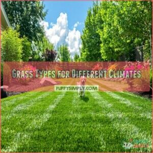 Grass Types for Different Climates