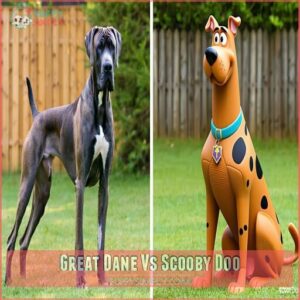 Great Dane Vs Scooby Doo