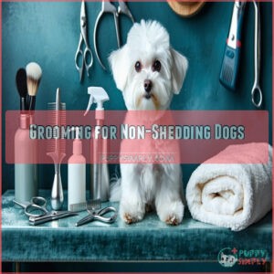 Grooming for Non-Shedding Dogs